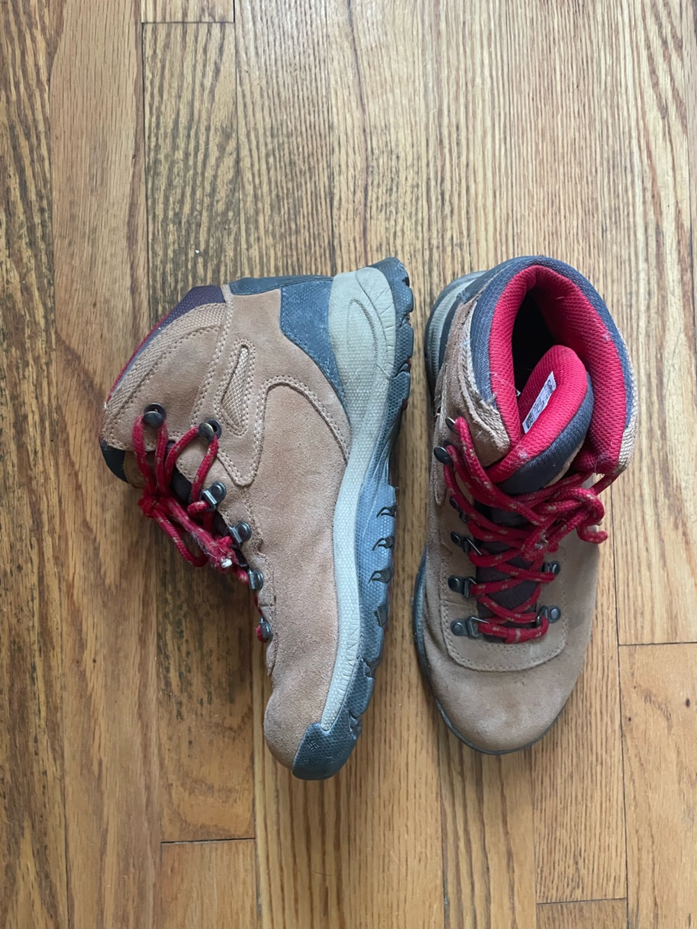 Columbia Women's Discontinued Newton Ridge Plus Waterproof Amped Hiking Boot 8.5